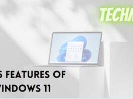 5 Features Windows11